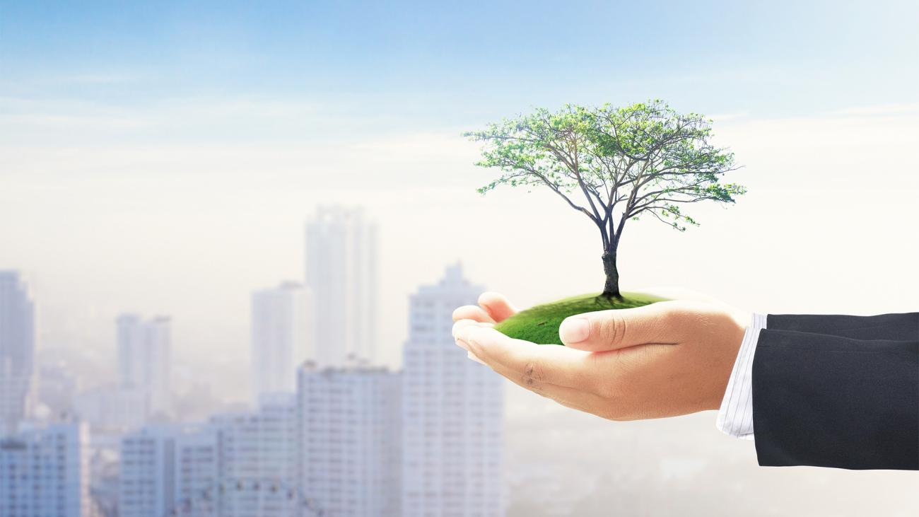 Socially Responsible Investing (SRI) and Environmental Sustainable Governance (ESG)